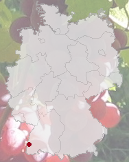 Weingüter in Eichstetten am Kaiserstuhl